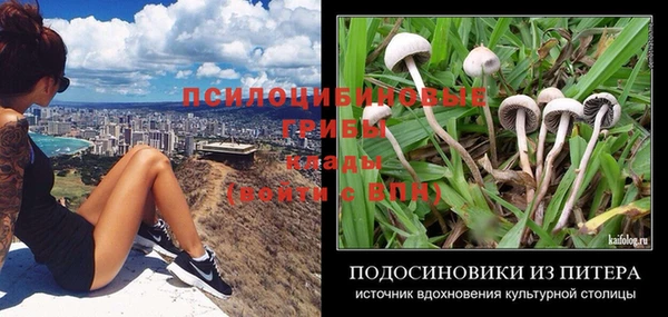 эйфоретик Чекалин