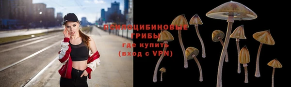 СК Чегем