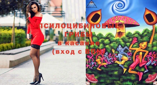 эйфоретик Чекалин
